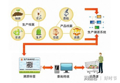 健康新方向 紅軍山藥面，信息管理服務賦能餐飲新體驗